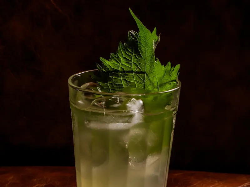 Shiso Sour